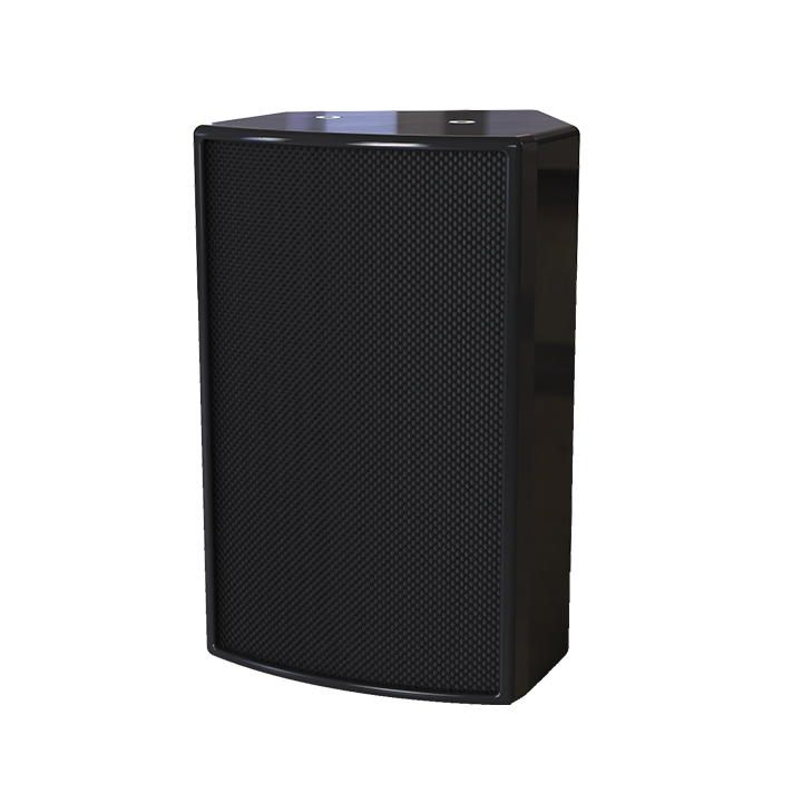 VI-inch duo-modo passive loudspeaker